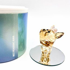 Swarovski Puppy Dixie The Yorkshire Terrier 5063332 MIB display mirror MC1296
